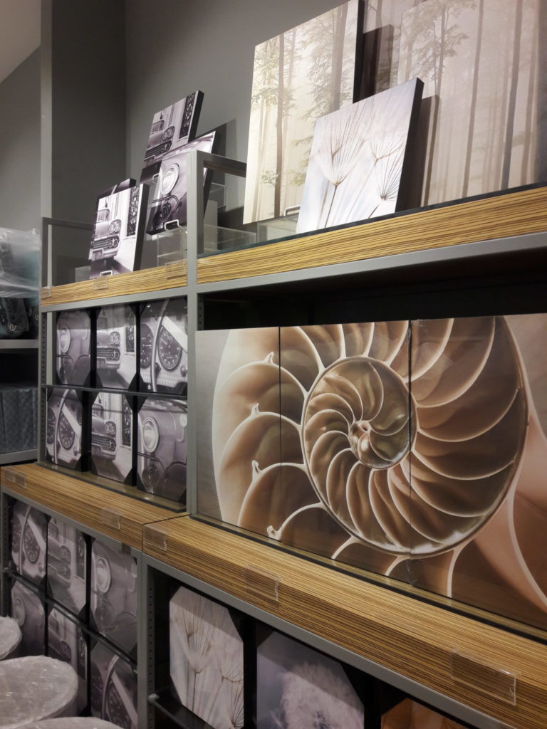 EXHIBICIÓN DE PINTURAS